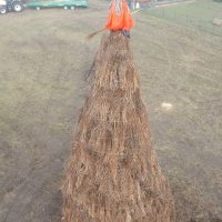 dscf0207 480x640